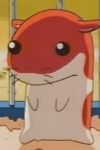 Hamster