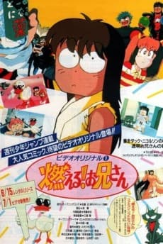 Moeru! Onii-san (OVA)