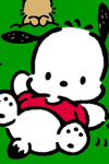 Pochacco